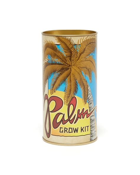 Palm Tree - Seed Grow Kit - Royal Palm