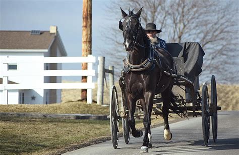 Six Amish Communities Currently Exist in Colorado