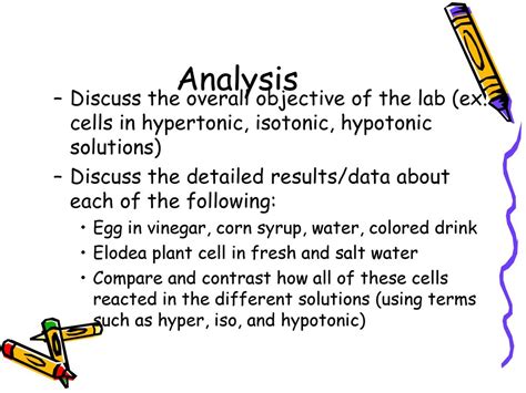 Eggsperiment Lab Write Up Guidelines - ppt download