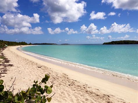 Vieques Island, Puerto Rico | Puerto rico beaches, Vieques, Puerto rico