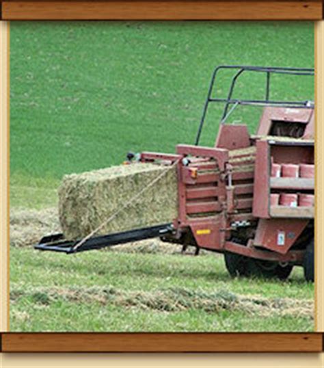 Horse Hay Bales for Sale, Grass and Alfalfa Hay, Whispering Winds Ranch in Vanderhoof, BC