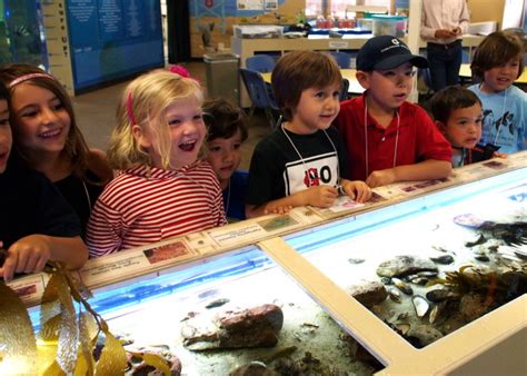 Earth Day Celebration at the Santa Monica Pier Aquarium | Visit Santa ...