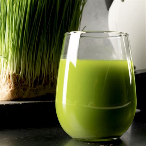 Wheatgrass Juice Recipe | Goodnature