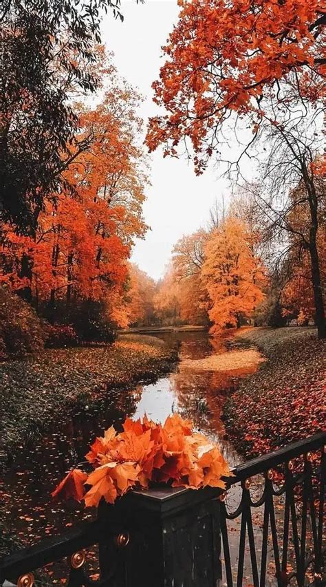 22 Beautiful Autumn Images – Autumn Aesthetic - Idea Wallpapers , iPhone Wallpapers,Color ...