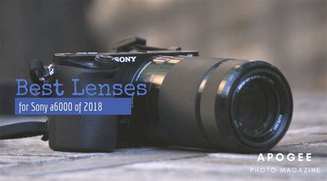 Best Lenses for Sony a6000 of 2018 - Apogee Photo Magazine