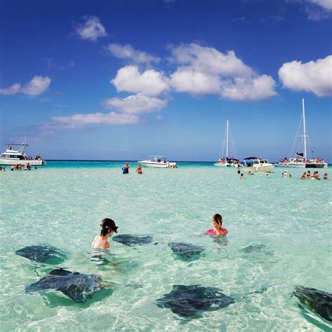 Stingray City, Grand Cayman, Cayman Islands | Vacaay