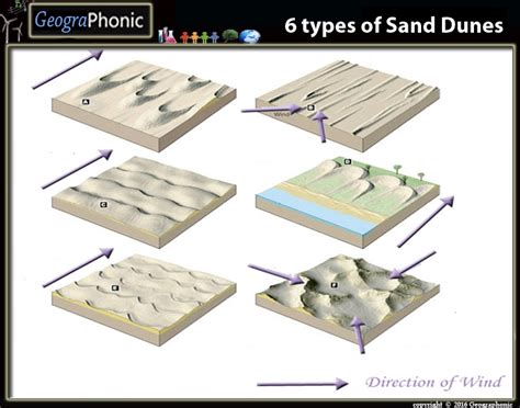 6 Types of Sand Dunes | quiz