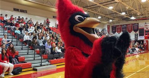 Cardinal mascot rallies Canfield High School fans