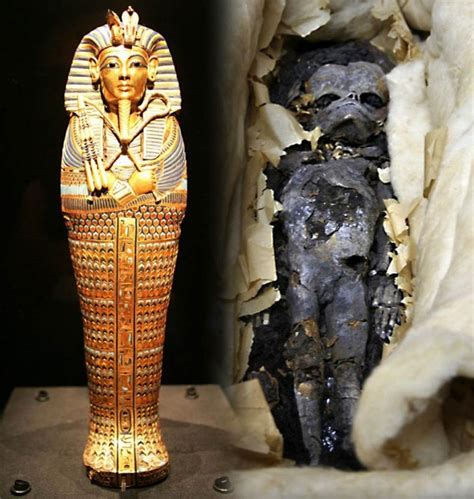 Kobe: Foetuses found in King Tutankhamun's tomb 'were his twin daughters', says expert