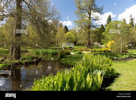 Longstock Park Water Garden, John Lewis Leckford Estate, Stockbridge ...