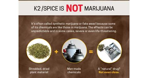 Spice/K2: Drug Facts for Teens - Pequawket Valley Health Initiatives