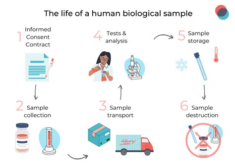 The life of a human biological sample | Labtoo