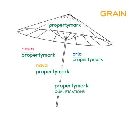 Umbrella Brands | Brand Architecture Strategy and Synergy