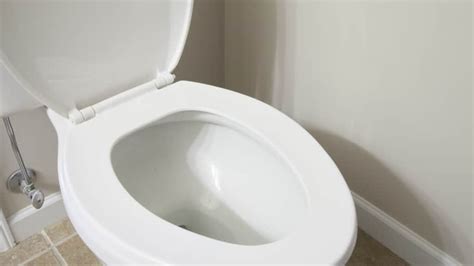 How Much Does Toilet Installation Cost? | Angie's List