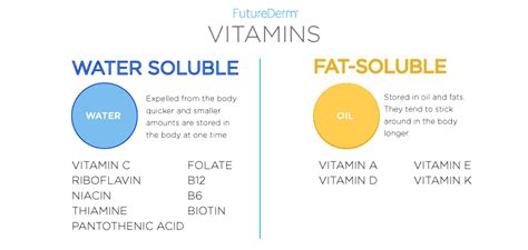 Water Soluble vs Fat Soluble Vitamins: What You Need to Know - The ...