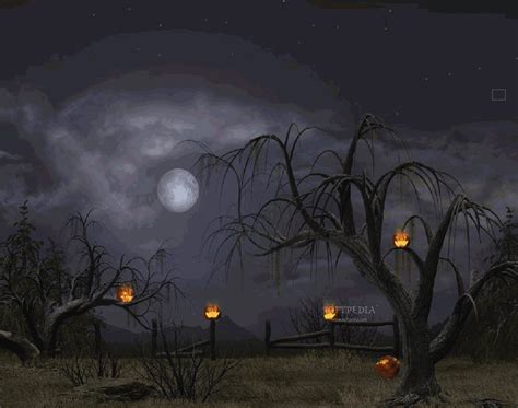 Halloween Gallery Photo: Halloween Wallpaper Backgrounds