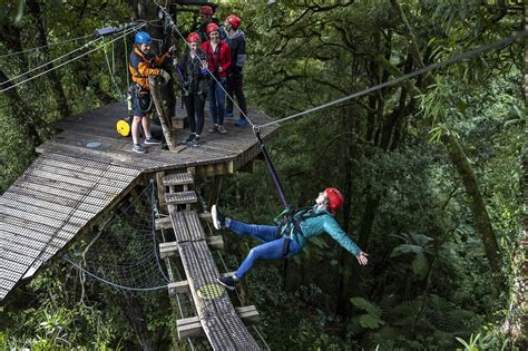 Canopy Tour Zipline Forest Adventure in Rotorua - Klook