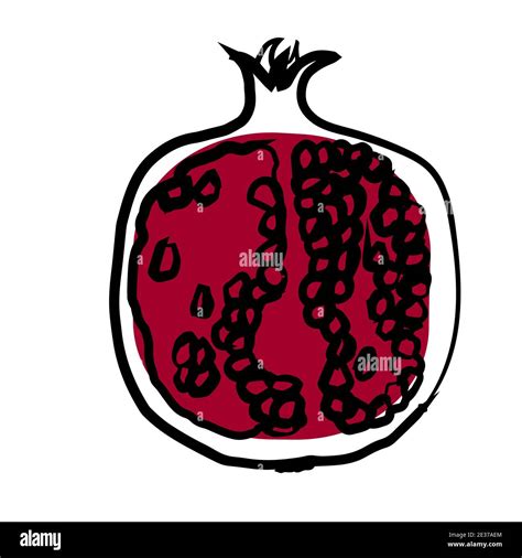 Pomegranate fruit illustration in line art black and red color isolated ...