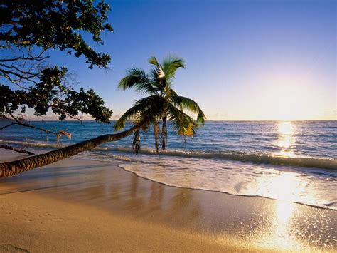 Beach Scenery wallpaper | 1280x960 | #1606