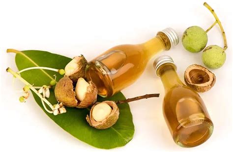 All About Tamanu Oil - All About Oils - Drips ' N Drops