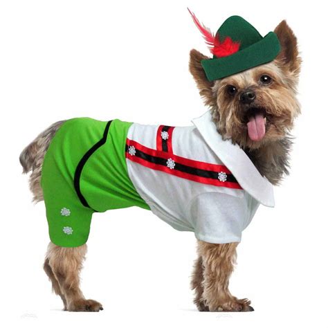 Alpine Boy Halloween Dog Costume | BaxterBoo