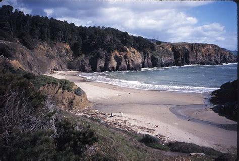 Salt Point State Park, Northern CA - Naturalists At Large