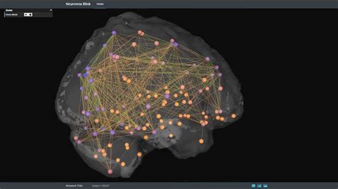 Graph Database Visualization