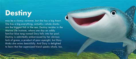 Finding Dory Character Profile Destiny by dlee1293847 on DeviantArt