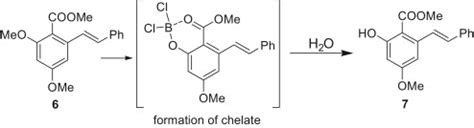 Selective demethylation of compound 6. | Download Scientific Diagram