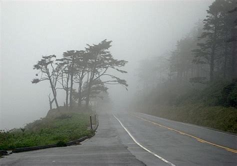 Coastal fog not following climate change script | KNKX Public Radio