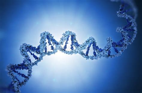 DNA strand model stock illustration. Illustration of biology - 34242738