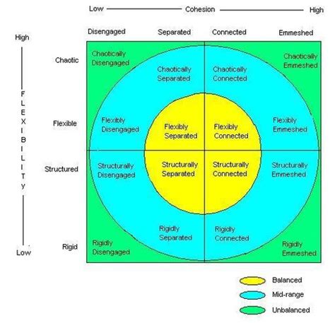 SFL 160 Circumplex Model Flashcards | Quizlet