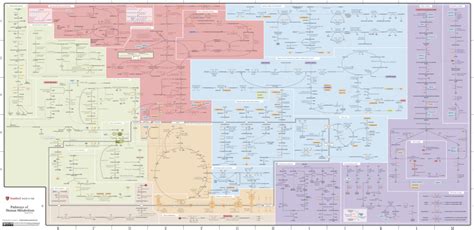 Pathways of Human Metabolism Map – Stanford Med Education