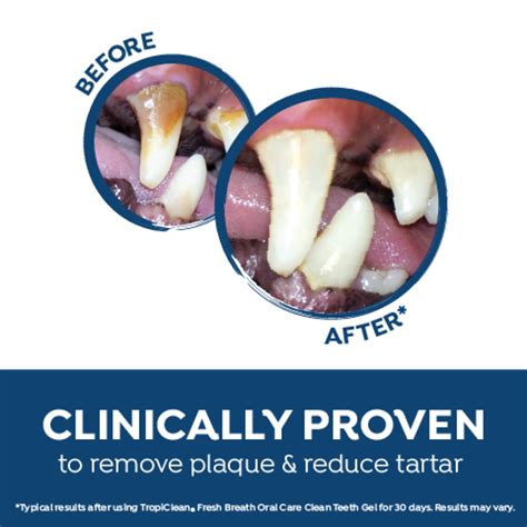 How Can I Reduce The Plaque On My Dogs Teeth