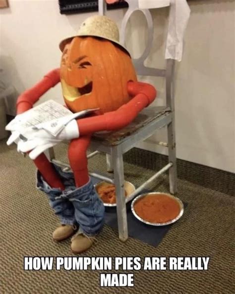 Laugh Out Loud With These Hilarious Pumpkin Memes For The Ultimate Fall ...