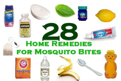 28 Home Remedies for Mosquito Bites | Mother's Home