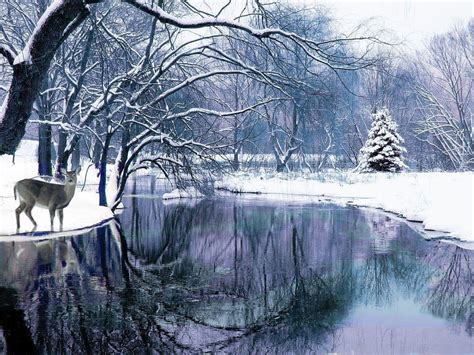 Winter Wallpapers Scenes - Wallpaper Cave