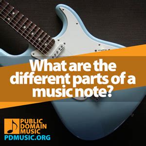 Different Parts Of A Music Note Explained - Music Theory Example