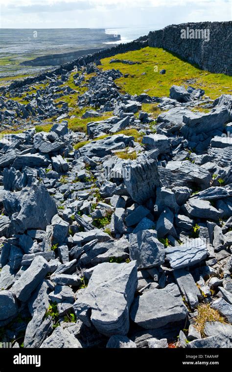 Chevaux de frise hi-res stock photography and images - Alamy