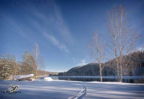 swedish winter landscape with moose tracks | swedish winter … | Flickr