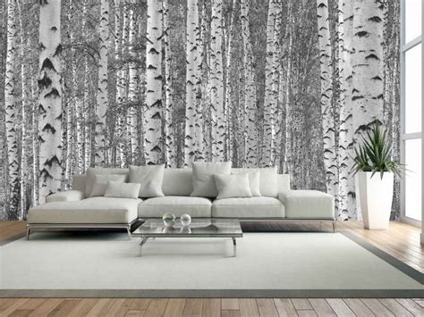 Black and White Birch Tree Wallpaper | About Murals