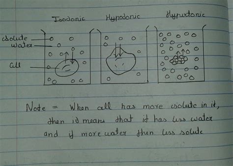 write a short note on hypertonic ,hypotonic and isotonic solution? draw ...