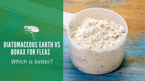 Diatomaceous Earth vs Borax For Fleas: Which is Better?