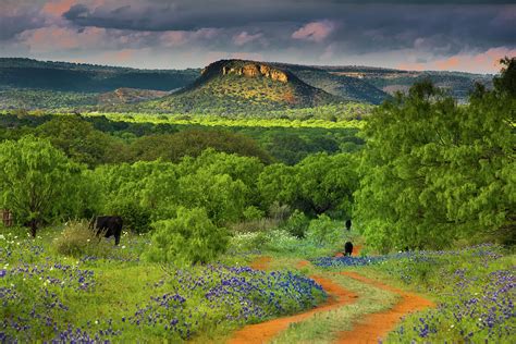 Texas Hill Country Ranch Road Photograph by Darryl Dalton - Pixels