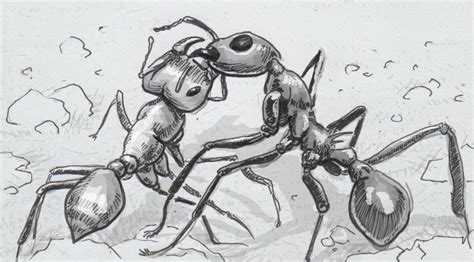 The clashes and combat of antagonistic ants – A new entomology thing for curious kids – 2 New Things