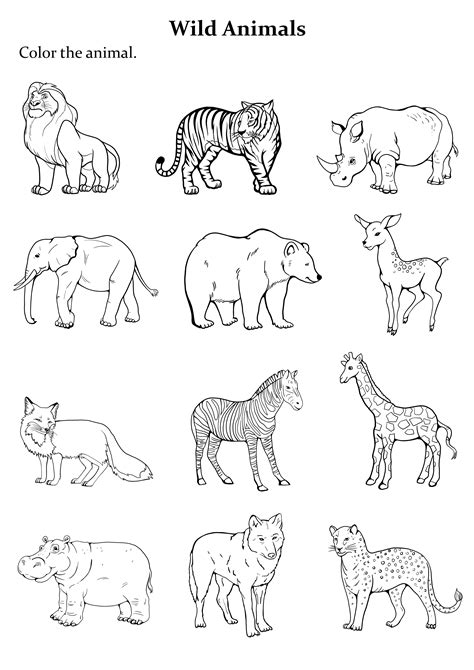 Group of animals coloring page easy to print