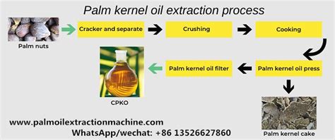 How to make clear organic palm kernel oil?_Palm Oil Processing FAQ