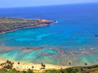 Snorkeling at Scuba diving at Hanauma Bay Hawaii