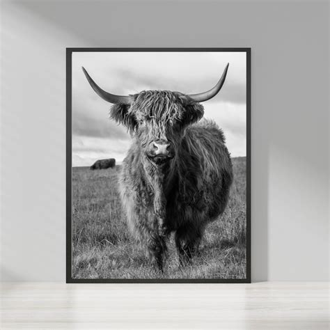 HIGHLAND COW PRINT|canvas Wall Art|Modern Wall Art|Rustic Decor|Animal ...