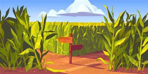 Corn Field Vector Art, Icons, and Graphics for Free Download